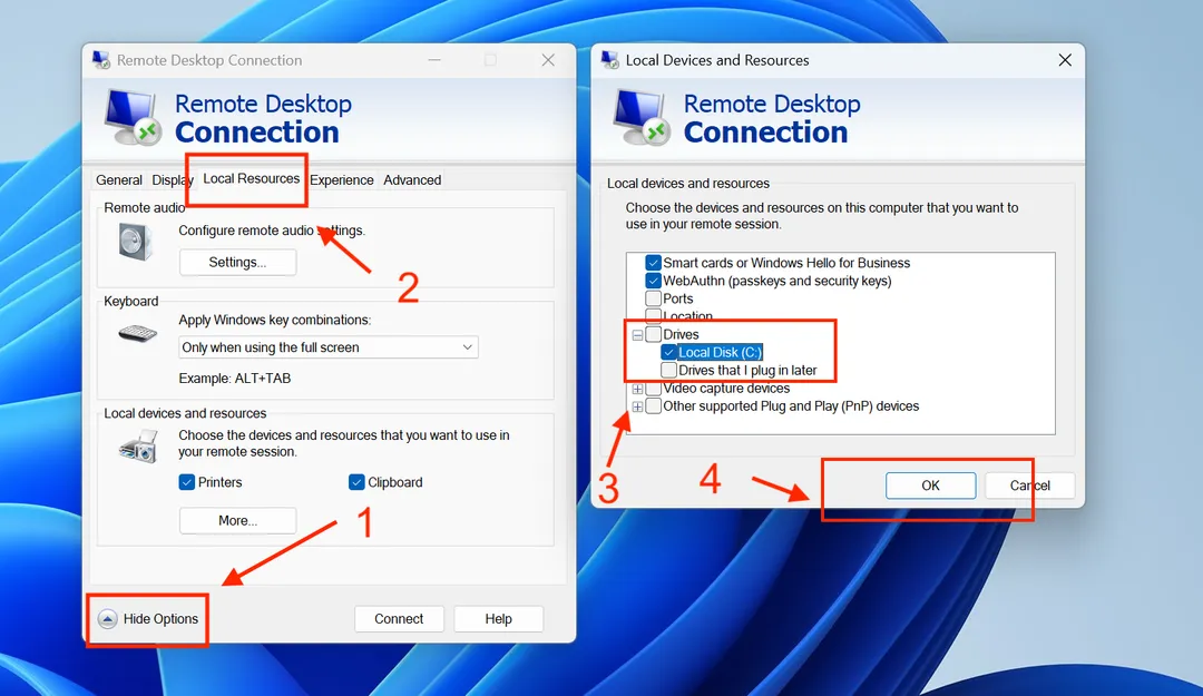 Selecting which local drives to share with the server